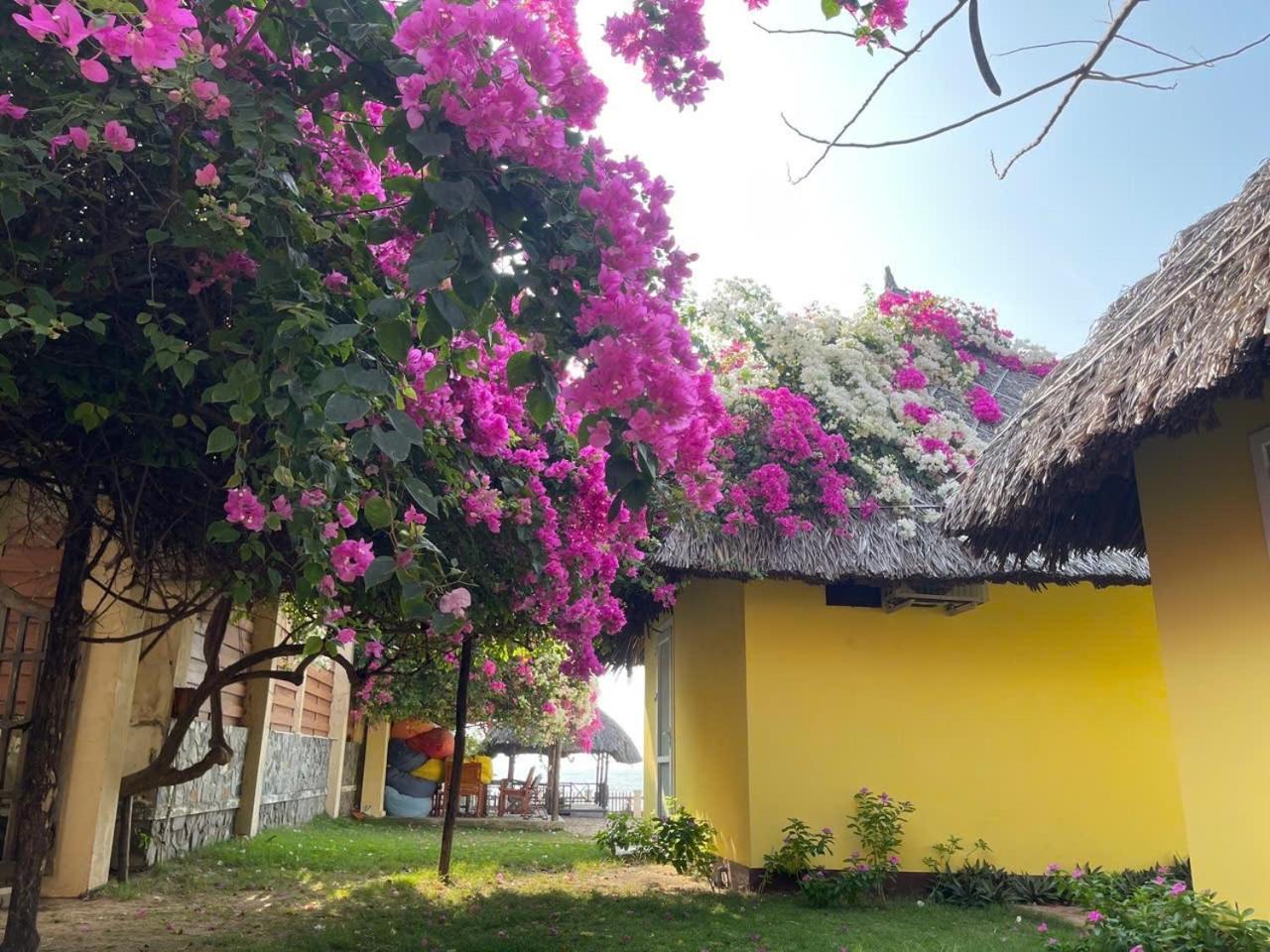 Orchid Boutique Beach Resort Phan Thiet Exterior foto