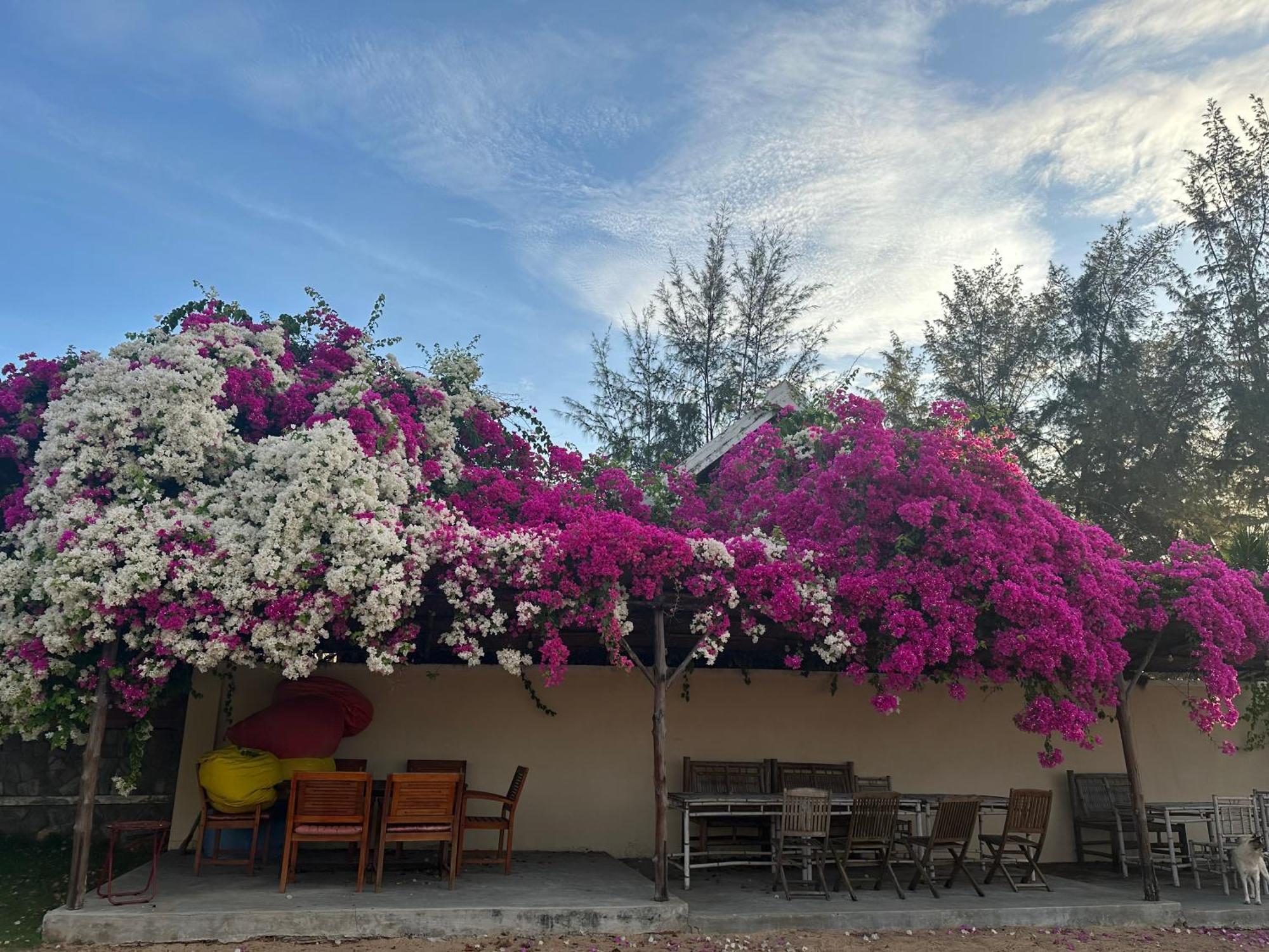Orchid Boutique Beach Resort Phan Thiet Exterior foto