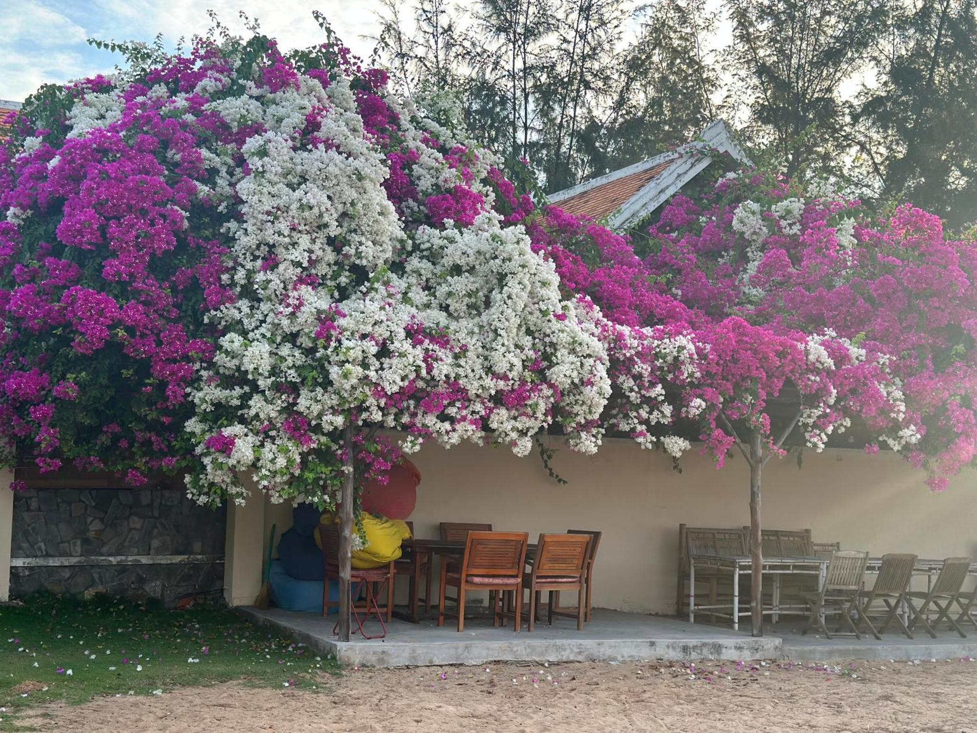 Orchid Boutique Beach Resort Phan Thiet Exterior foto